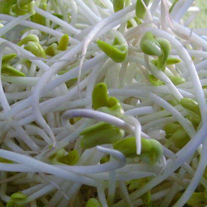 �·��ϲ���Ⱦ��ʲô����ϴ����̫������