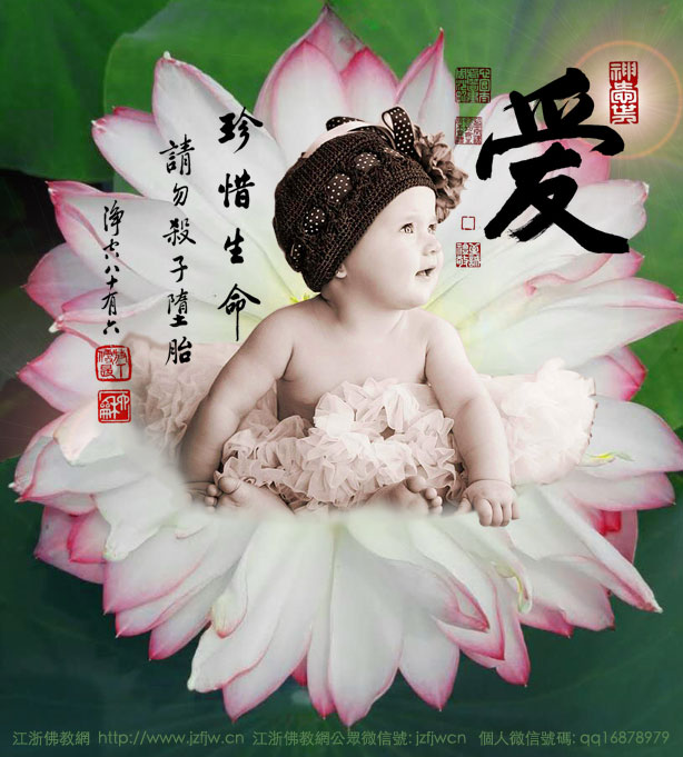 ��̥����ս��