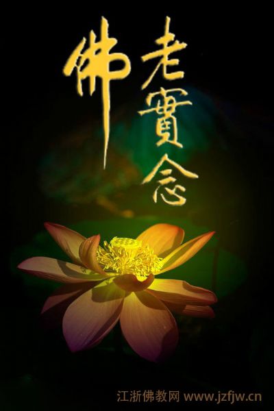 ��������ʮ������������¼����������չ���������