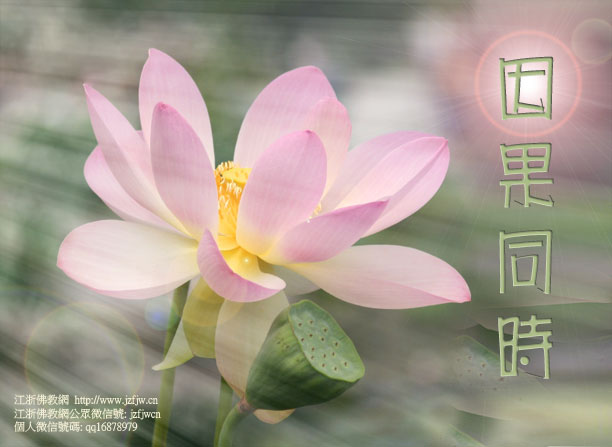 �ư��ؾ��ٽ���������ǿ��ҪǮ����������ɱ�������Լ���ͷ��������������