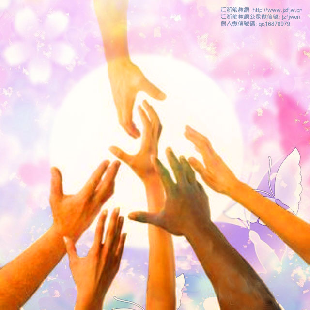 揭秘生活中的因果:夫妻本是同命鸟 揭秘生活中的因果:夫妻本是同命鸟