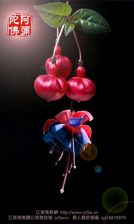 ����ү�������ʱ���ֵ����˼