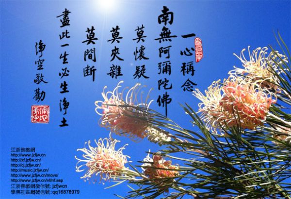 黄柏霖警官:死去的堂弟摇手,拔管死而复活 黄柏霖警官:死去的堂弟摇手,拔管死而复活