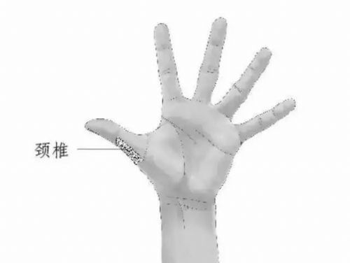 ��ʵ�ã�ÿ����Ĵָ�����ξ�׵����ÿ�찴�°ͣ�������...