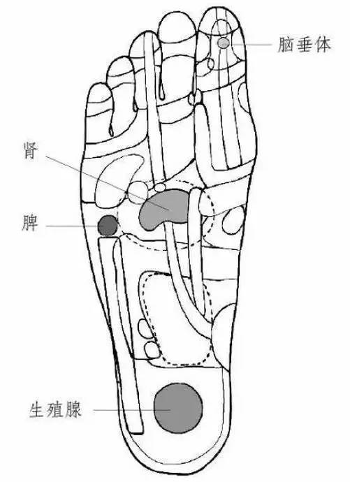 ��ʵ�ã�ÿ����Ĵָ�����ξ�׵����ÿ�찴�°ͣ�������...