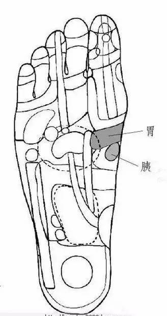 ��ʵ�ã�ÿ����Ĵָ�����ξ�׵����ÿ�찴�°ͣ�������...