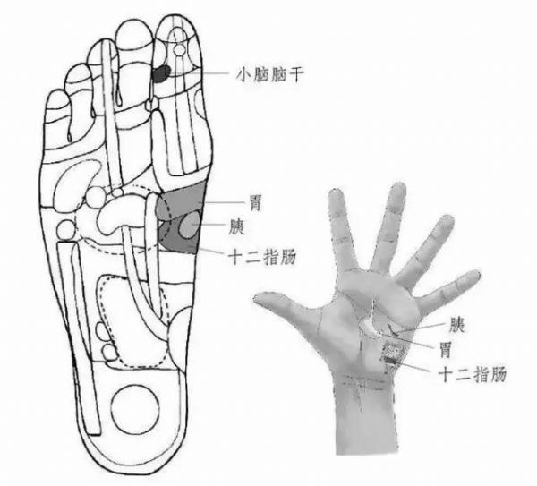 ��ʵ�ã�ÿ����Ĵָ�����ξ�׵����ÿ�찴�°ͣ�������...