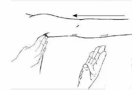 ��ʵ�ã�ÿ����Ĵָ�����ξ�׵����ÿ�찴�°ͣ�������...