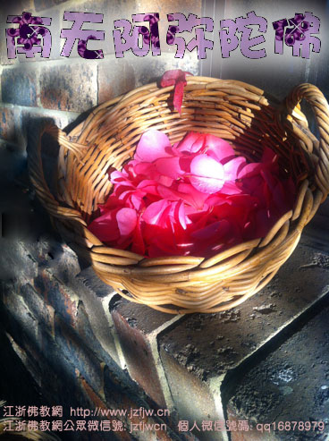 善人真的会有菩萨、善神护佑! 善人真的会有菩萨、善神护佑!