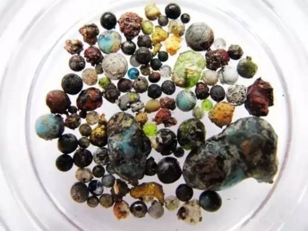 震撼!28岁信佛女居士留下近千颗五彩斑斓舍利子! 震撼!28岁信佛女居士留下近千颗五彩斑斓舍利子!