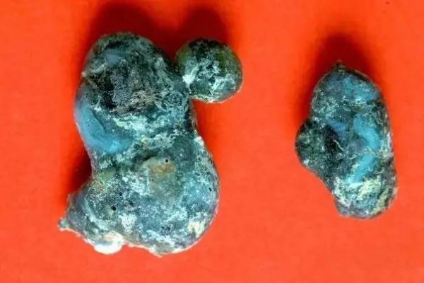 震撼!28岁信佛女居士留下近千颗五彩斑斓舍利子! 震撼!28岁信佛女居士留下近千颗五彩斑斓舍利子!