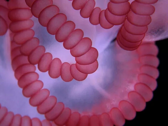 ��������˼���֪������������