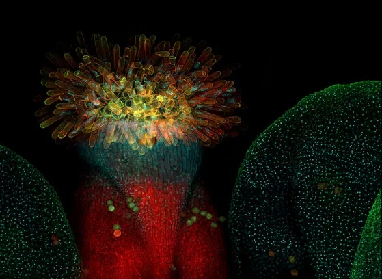 ��������˼���֪������������