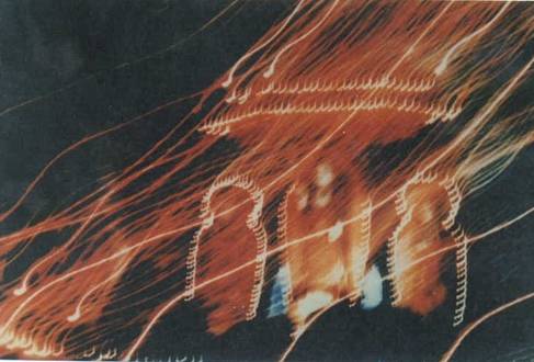 С�������������������ķ���������