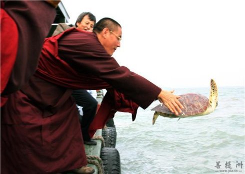 ϣ���ٲ����������������������