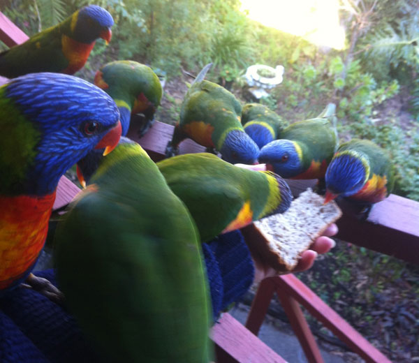 ���η�ʦ��ʩʳ��һֻ���ϳԣ�������һ��(ʮ)�顶�ͽپ����Ĺ���