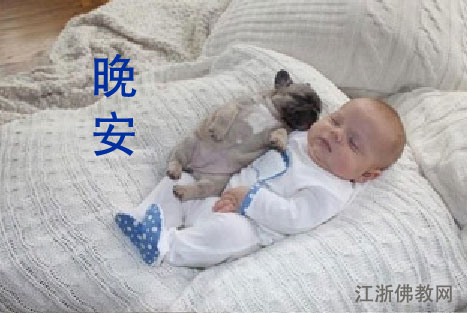 天下第一补 天下第一补