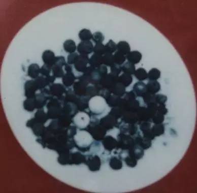 勇猛念佛-黄念祖老居士事迹及往生舍利(图文) 勇猛念佛-黄念祖老居士事迹及往生舍利(图文)