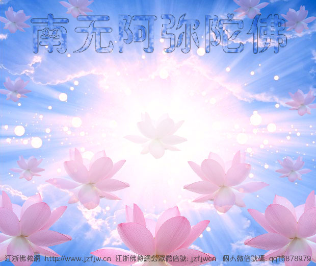 �о����Ͼ���������