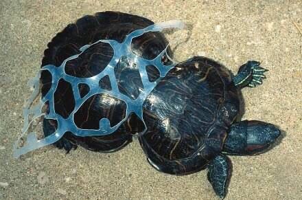 �������ӵ������������ܾ�������һ����ʹ��