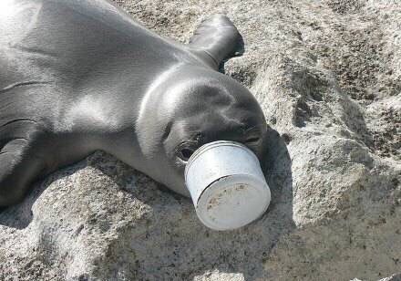 �������ӵ������������ܾ�������һ����ʹ��