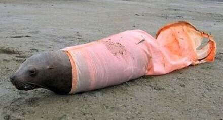 �������ӵ������������ܾ�������һ����ʹ��