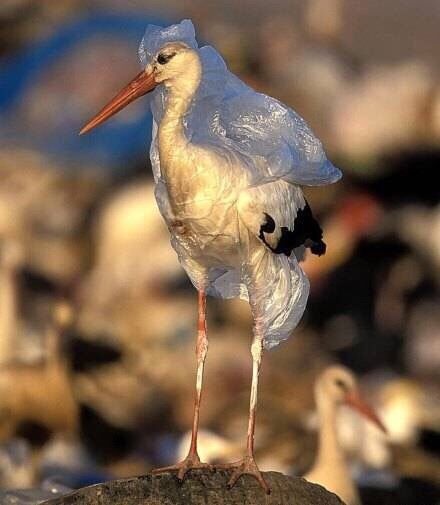 �������ӵ������������ܾ�������һ����ʹ��