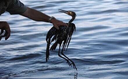 �������ӵ������������ܾ�������һ����ʹ��