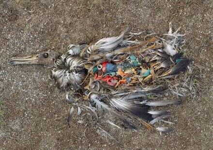 �������ӵ������������ܾ�������һ����ʹ��