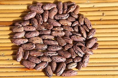 9大保镖保护你远离心脏病的威胁 9大保镖保护你远离心脏病的威胁