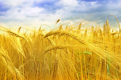 9大保镖保护你远离心脏病的威胁 9大保镖保护你远离心脏病的威胁