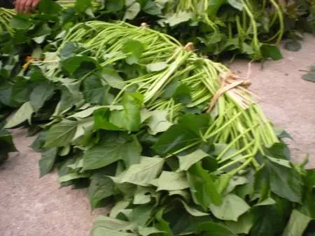 �����ľ������ܣ�����Ϊֻ�Ǻóԣ��������ˣ�Ҫ���߼��ˣ�