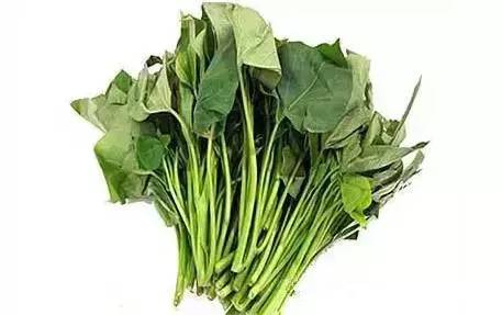 �����ľ������ܣ�����Ϊֻ�Ǻóԣ��������ˣ�Ҫ���߼��ˣ�