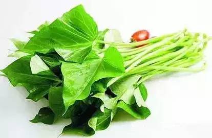 �����ľ������ܣ�����Ϊֻ�Ǻóԣ��������ˣ�Ҫ���߼��ˣ�