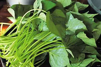 �����ľ������ܣ�����Ϊֻ�Ǻóԣ��������ˣ�Ҫ���߼��ˣ�