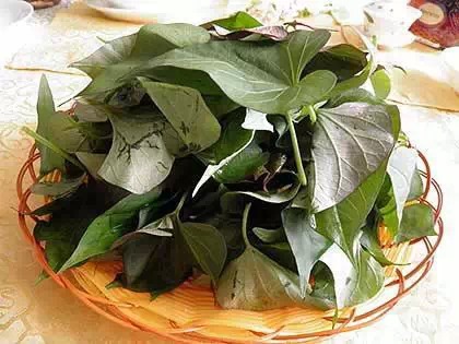 �����ľ������ܣ�����Ϊֻ�Ǻóԣ��������ˣ�Ҫ���߼��ˣ�