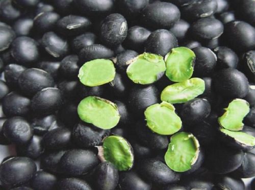 ���Ƶ�һ��������ôҲ�²�������������ţ�̣�