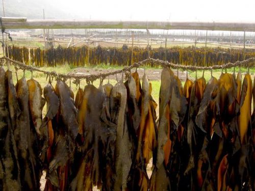 ���Ƶ�һ��������ôҲ�²�������������ţ�̣�