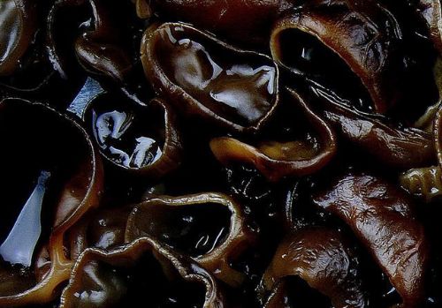 ���Ƶ�һ��������ôҲ�²�������������ţ�̣�