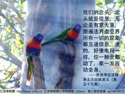 Ů�˳������׵þ��ֲ�