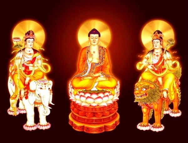 ͼ_~_ʮ������������������ʮ������