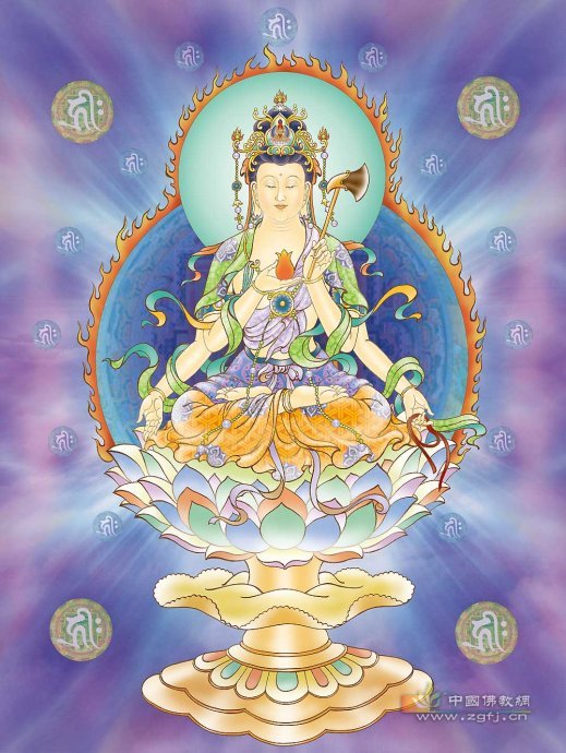 ͼ_~_ʮ������������������ʮ������