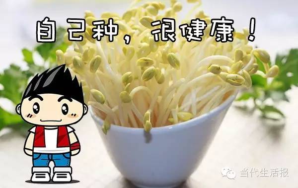 ��ɫʳƷ��һ������ƿ�����ֳ�ȫ���˳ԵĶ�ѿ��