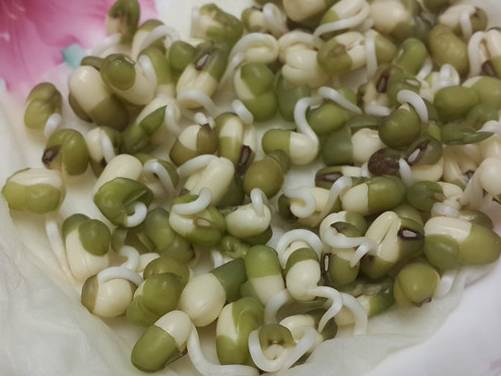 ��ɫʳƷ��һ������ƿ�����ֳ�ȫ���˳ԵĶ�ѿ��