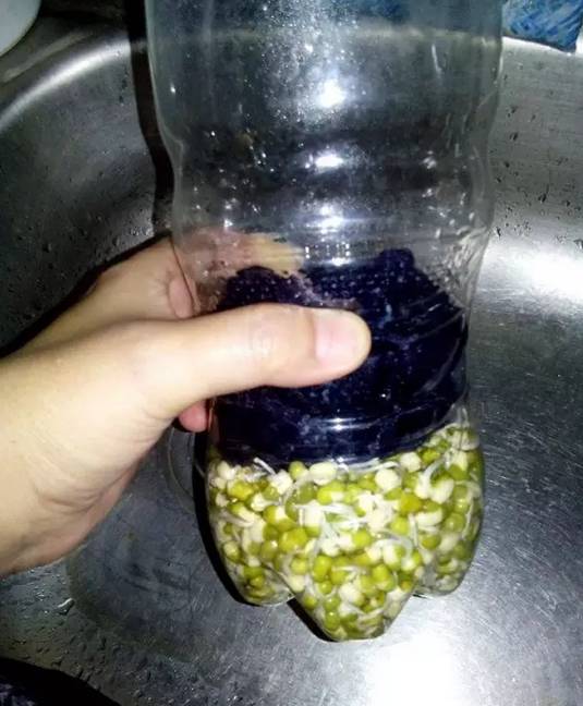 ��ɫʳƷ��һ������ƿ�����ֳ�ȫ���˳ԵĶ�ѿ��