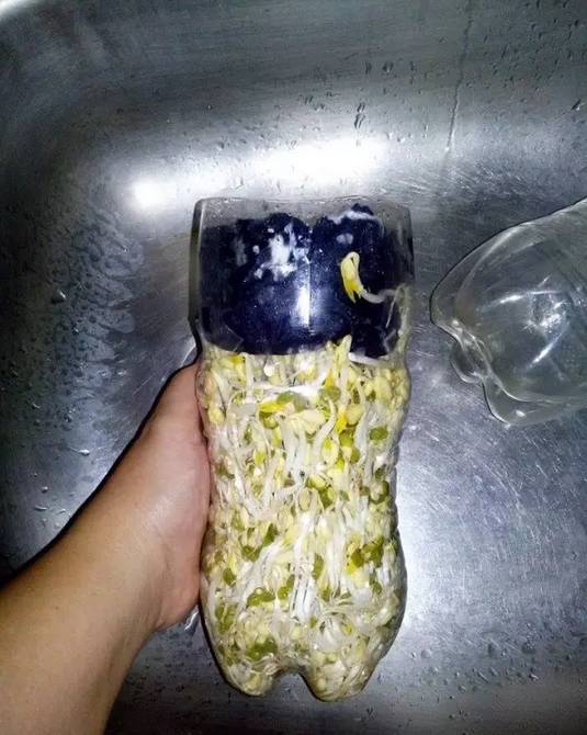 ��ɫʳƷ��һ������ƿ�����ֳ�ȫ���˳ԵĶ�ѿ��