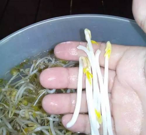 ��ɫʳƷ��һ������ƿ�����ֳ�ȫ���˳ԵĶ�ѿ��