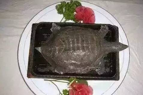 舌尖上的罪孽,中.华.民.族.10大禁菜!传给身边的朋友看看,就是慈悲的大放生!功德无量! 舌尖上的罪孽,中.华.民.族.10大禁菜!传给身边的朋友看看,就是慈悲的大放生!功德无量!