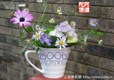 ������������֮�ˣ��й���֮������������֧�ַ𷨣��𷨲�������