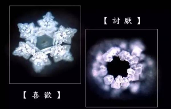 ˵�Լ�����������õ��ˣ��������������������صľ������ܣ�